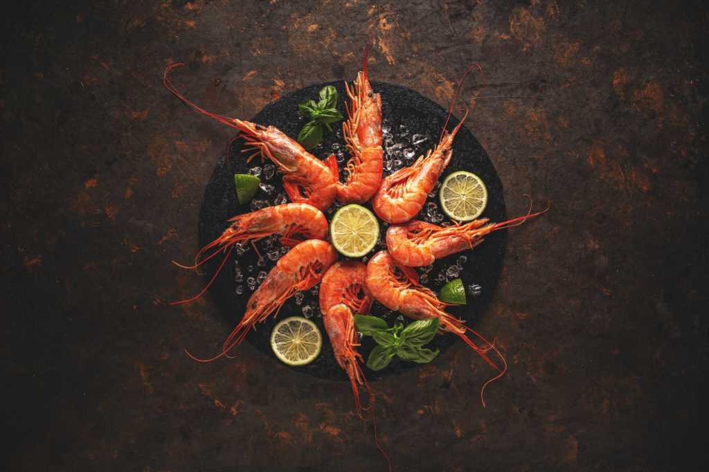 Sea food concept